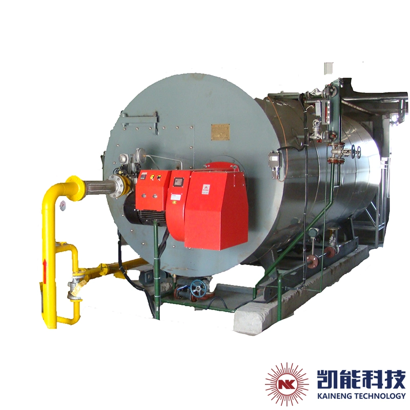 Factort Supply Wns 1 Ton 2 Ton 4 Ton Gas Fired Steam Boiler