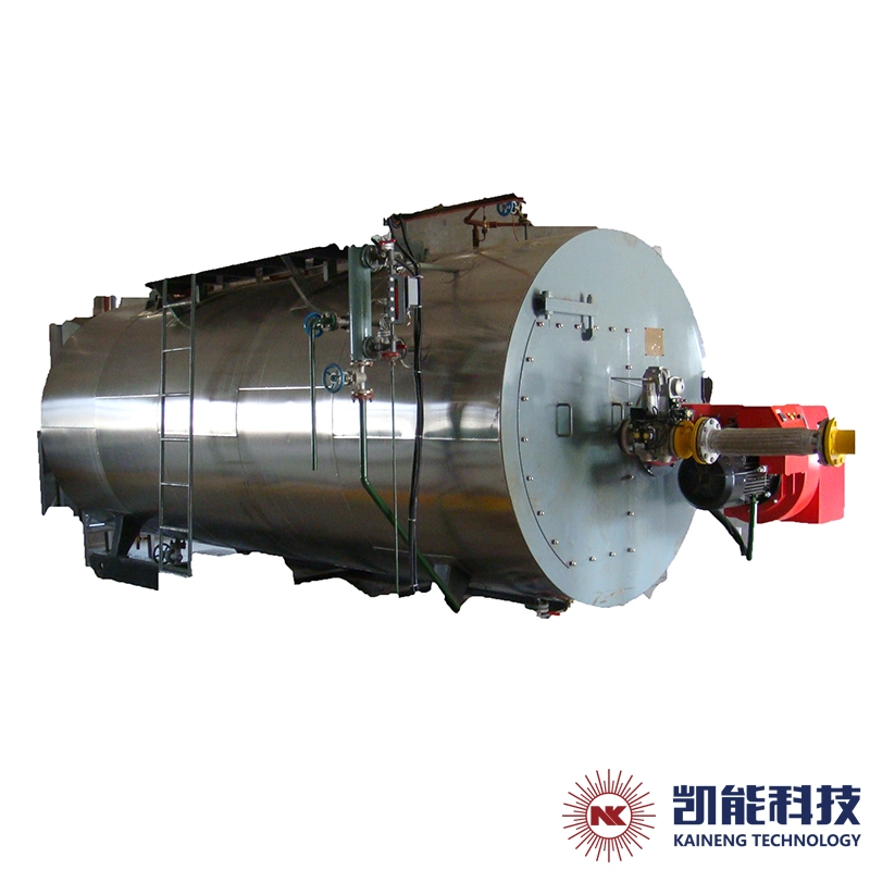 Factort Supply Wns 1 Ton 2 Ton 4 Ton Gas Fired Steam Boiler